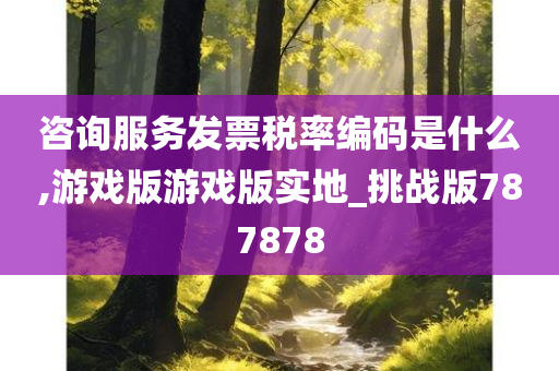 咨询服务发票税率编码是什么,游戏版游戏版实地_挑战版787878