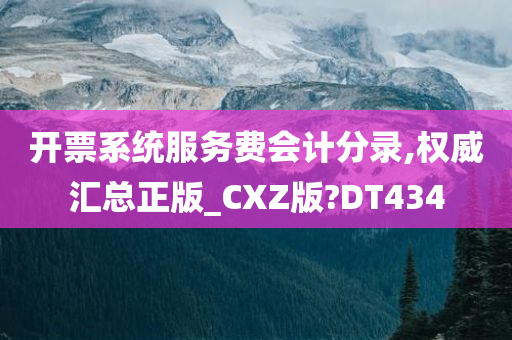 开票系统服务费会计分录,权威汇总正版_CXZ版?DT434