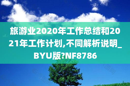 旅游业2020年工作总结和2021年工作计划,不同解析说明_BYU版?NF8786