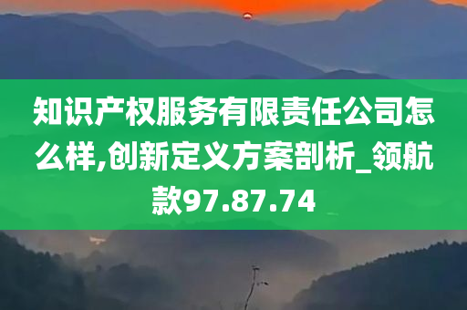 知识产权服务有限责任公司怎么样,创新定义方案剖析_领航款97.87.74