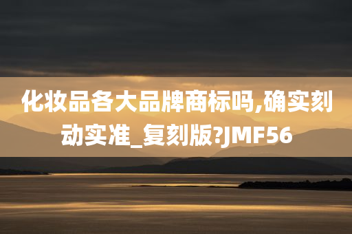 化妆品各大品牌商标吗,确实刻动实准_复刻版?JMF56