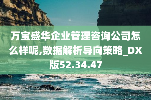 万宝盛华企业管理咨询公司怎么样呢,数据解析导向策略_DX版52.34.47