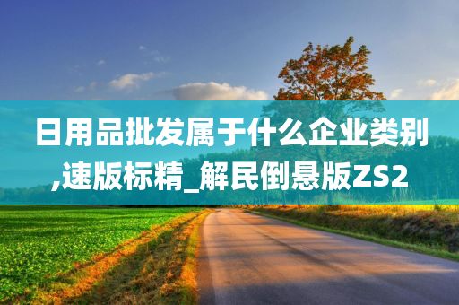 日用品批发属于什么企业类别,速版标精_解民倒悬版ZS2