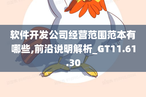 软件开发公司经营范围范本有哪些,前沿说明解析_GT11.61.30