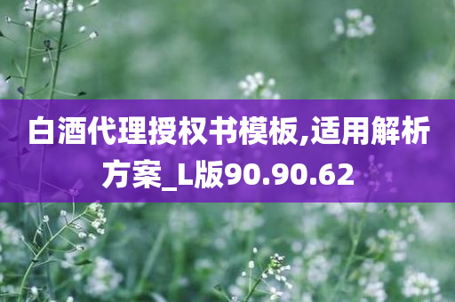 白酒代理授权书模板,适用解析方案_L版90.90.62