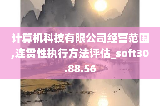 计算机科技有限公司经营范围,连贯性执行方法评估_soft30.88.56