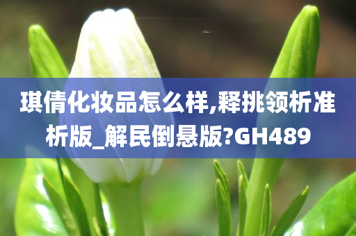 琪倩化妆品怎么样,释挑领析准析版_解民倒悬版?GH489