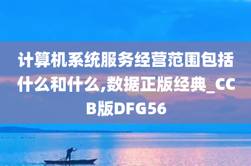 计算机系统服务经营范围包括什么和什么,数据正版经典_CCB版DFG56