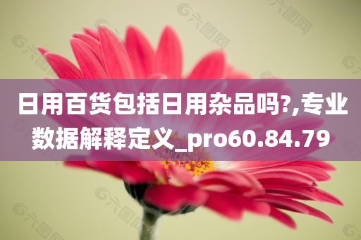 日用百货包括日用杂品吗?,专业数据解释定义_pro60.84.79