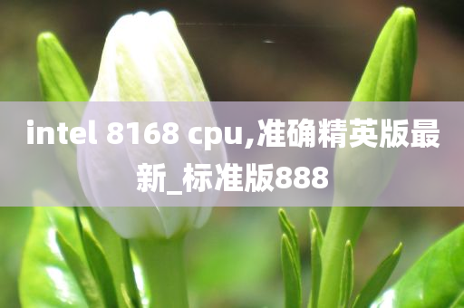 intel 8168 cpu,准确精英版最新_标准版888