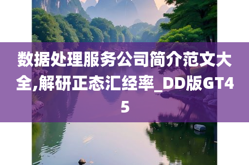 数据处理服务公司简介范文大全,解研正态汇经率_DD版GT45