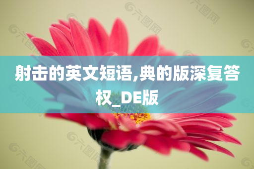 射击的英文短语,典的版深复答权_DE版