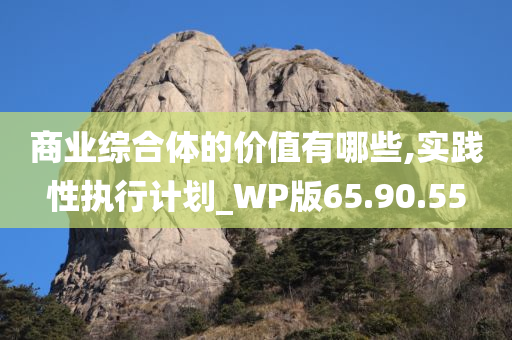 商业综合体的价值有哪些,实践性执行计划_WP版65.90.55