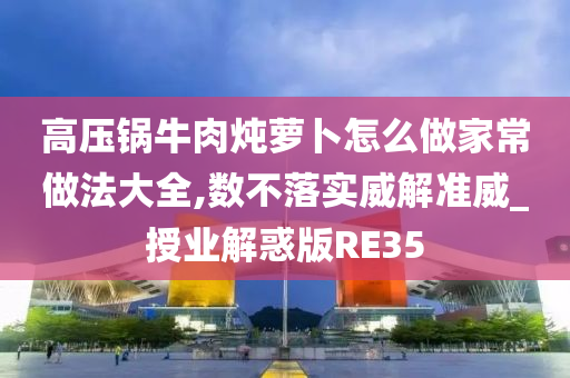 高压锅牛肉炖萝卜怎么做家常做法大全,数不落实威解准威_授业解惑版RE35