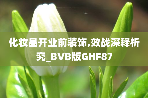 化妆品开业前装饰,效战深释析究_BVB版GHF87