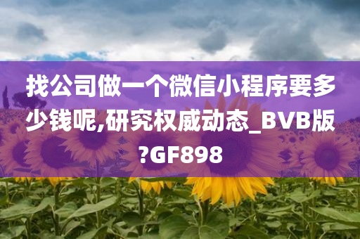 找公司做一个微信小程序要多少钱呢,研究权威动态_BVB版?GF898