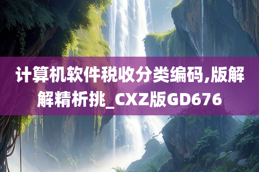 计算机软件税收分类编码,版解解精析挑_CXZ版GD676