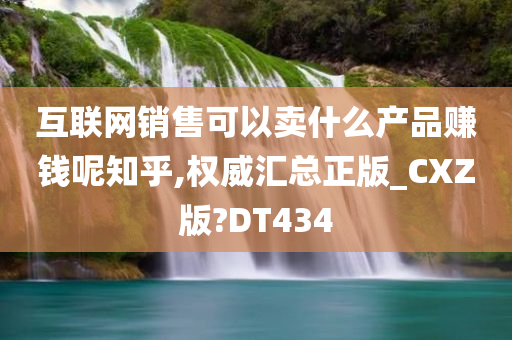 互联网销售可以卖什么产品赚钱呢知乎,权威汇总正版_CXZ版?DT434