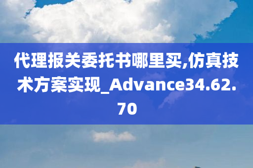 代理报关委托书哪里买,仿真技术方案实现_Advance34.62.70