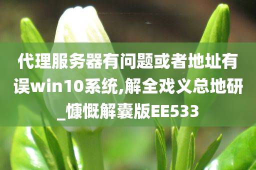 代理服务器有问题或者地址有误win10系统,解全戏义总地研_慷慨解囊版EE533