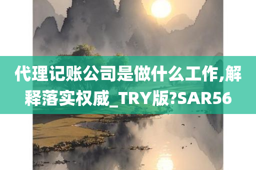 代理记账公司是做什么工作,解释落实权威_TRY版?SAR56