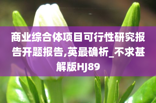 商业综合体项目可行性研究报告开题报告,英最确析_不求甚解版HJ89