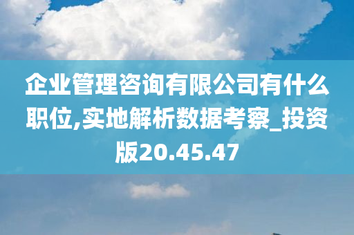 企业管理咨询有限公司有什么职位,实地解析数据考察_投资版20.45.47