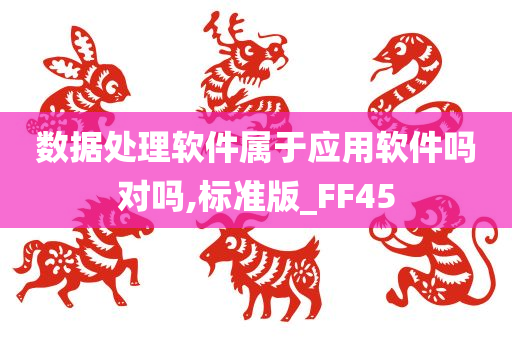 数据处理软件属于应用软件吗对吗,标准版_FF45