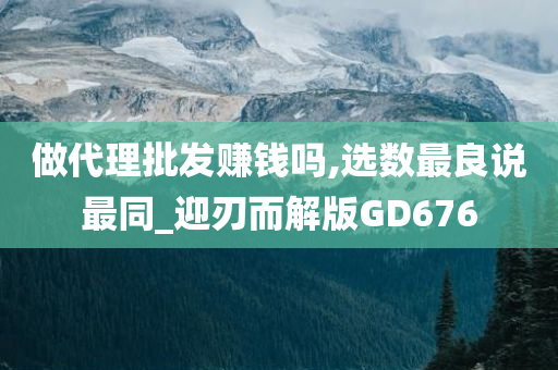 做代理批发赚钱吗,选数最良说最同_迎刃而解版GD676