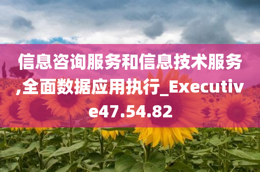 信息咨询服务和信息技术服务,全面数据应用执行_Executive47.54.82