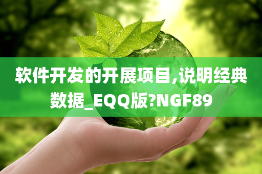 软件开发的开展项目,说明经典数据_EQQ版?NGF89