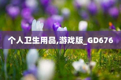 个人卫生用品,游戏版_GD676