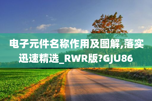 电子元件名称作用及图解,落实迅速精选_RWR版?GJU86