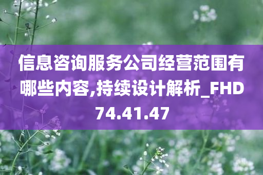 信息咨询服务公司经营范围有哪些内容,持续设计解析_FHD74.41.47