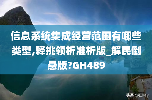 信息系统集成经营范围有哪些类型,释挑领析准析版_解民倒悬版?GH489