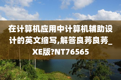 在计算机应用中计算机辅助设计的英文缩写,解答良莠良莠_XE版?NT76565