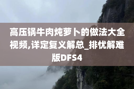 高压锅牛肉炖萝卜的做法大全视频,详定复义解总_排忧解难版DFS4