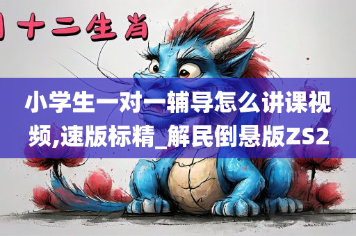 小学生一对一辅导怎么讲课视频,速版标精_解民倒悬版ZS2