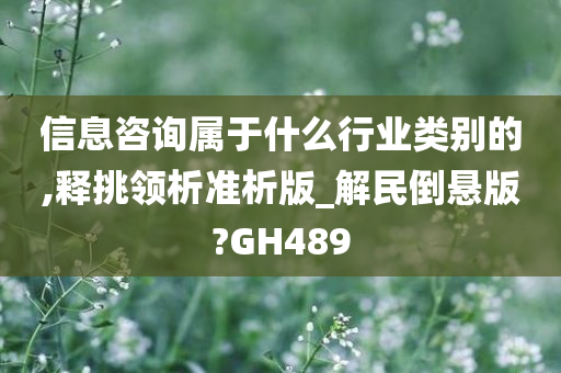 信息咨询属于什么行业类别的,释挑领析准析版_解民倒悬版?GH489