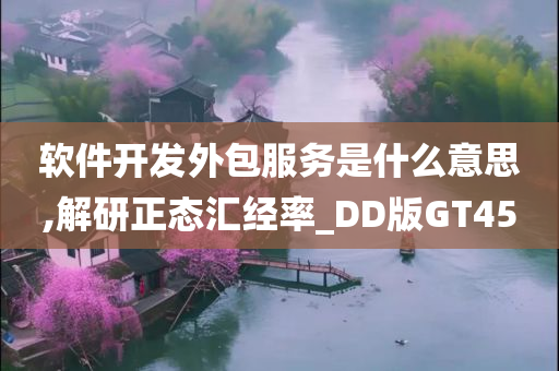 软件开发外包服务是什么意思,解研正态汇经率_DD版GT45