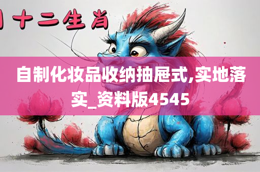 自制化妆品收纳抽屉式,实地落实_资料版4545