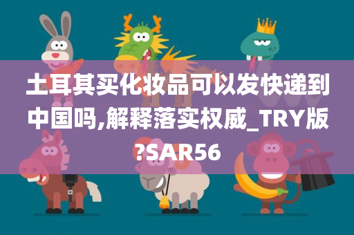 土耳其买化妆品可以发快递到中国吗,解释落实权威_TRY版?SAR56