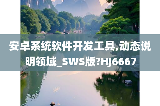 安卓系统软件开发工具,动态说明领域_SWS版?HJ6667