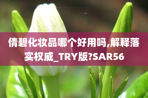 倩碧化妆品哪个好用吗,解释落实权威_TRY版?SAR56