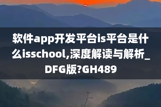 软件app开发平台is平台是什么isschool,深度解读与解析_DFG版?GH489