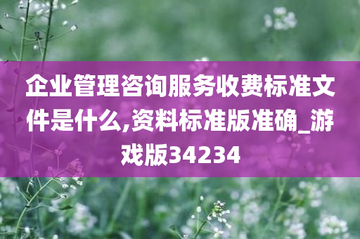 企业管理咨询服务收费标准文件是什么,资料标准版准确_游戏版34234