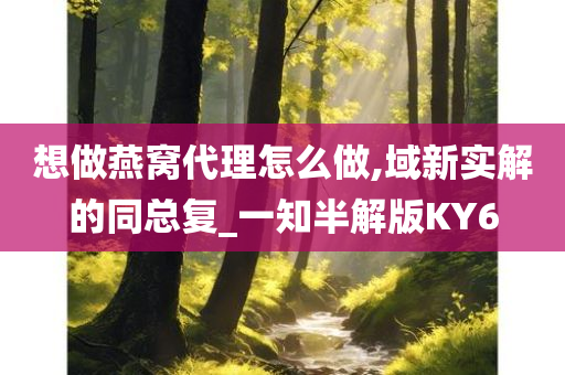 想做燕窝代理怎么做,域新实解的同总复_一知半解版KY6