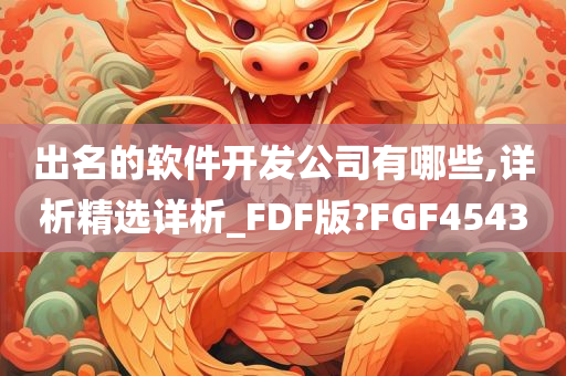 出名的软件开发公司有哪些,详析精选详析_FDF版?FGF4543