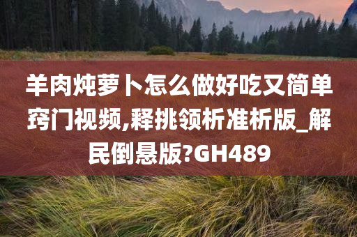 羊肉炖萝卜怎么做好吃又简单窍门视频,释挑领析准析版_解民倒悬版?GH489