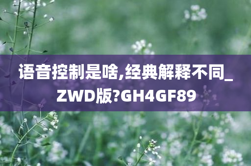 语音控制是啥,经典解释不同_ZWD版?GH4GF89